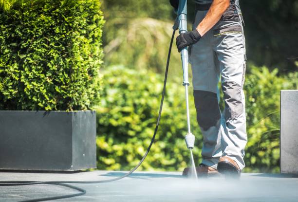Reliable Avalon, CA Pressure Washing Services Solutions