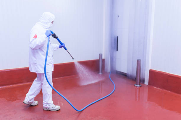 Best Warehouse Cleaning  in Avalon, CA