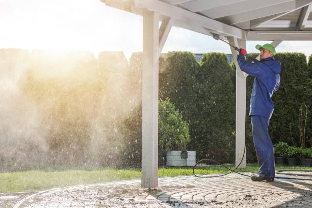 Best Spring Cleaning  in Avalon, CA