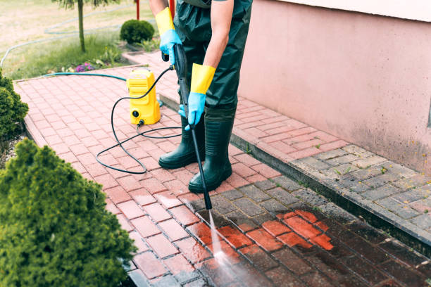 Best Fence Cleaning  in Avalon, CA